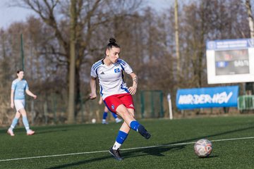 Bild 327 - F Hamburger SV 3 - Blau-Weiss 96 : Ergebnis: 5:1